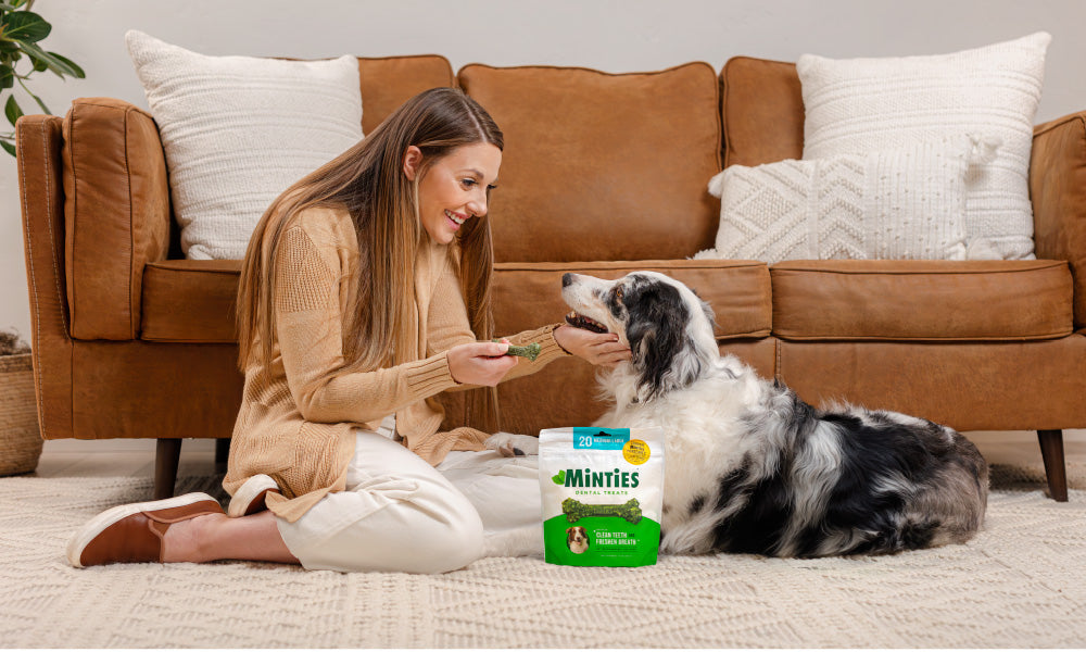 Your Dog’s Dental Calendar