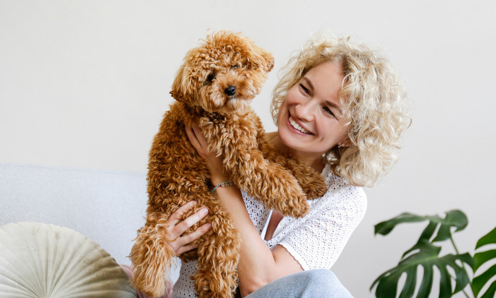 5 Tips for Housetraining