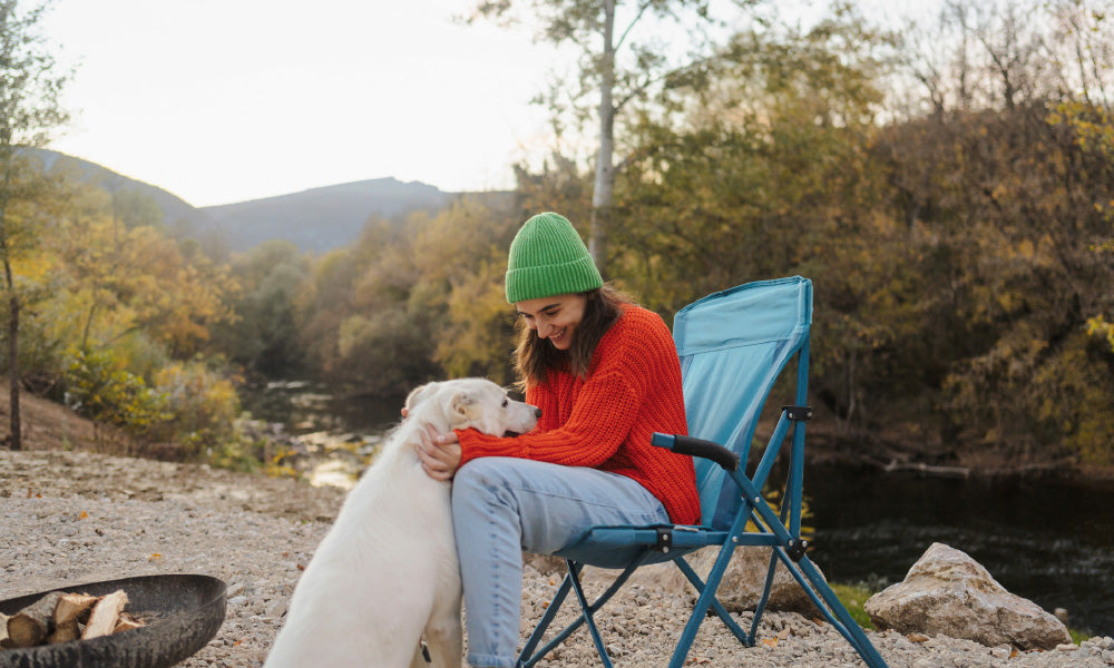 15 Fun Activities to Do with Your Dog