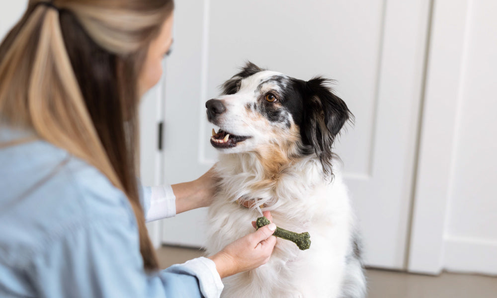 Send Bad Breath to the Doghouse with Minties®