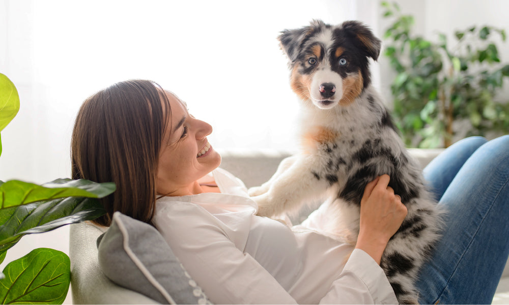Which Dog Breed Is Right for You?